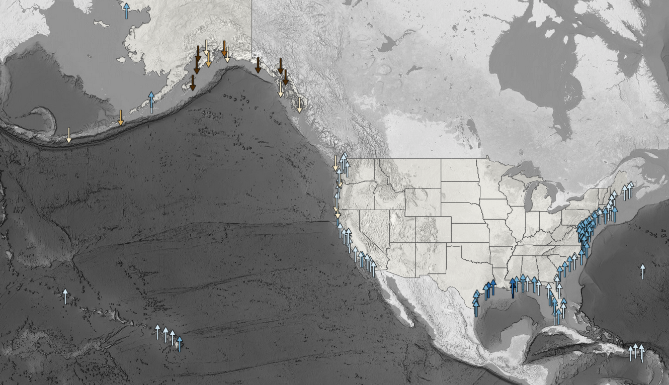 Interactive map: How has local sea level in the United States changed 