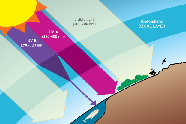 Ozone layer protection diagram