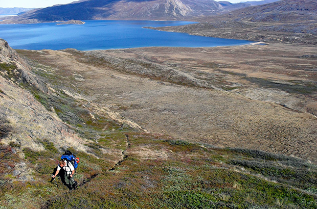 Photo showing a view of the variety of plants and shrubs along the Arctic Circle Trail near Sisimiut, Greenland.