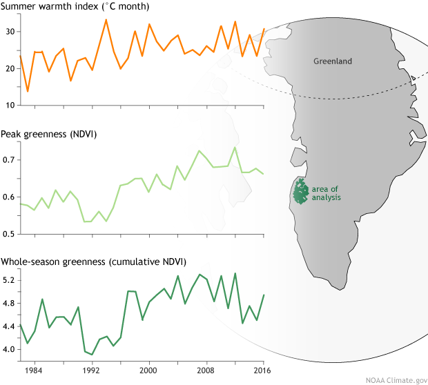 Graphs showing satellite-based analysis of average summer warmth (top), peak vegetation greenness (middle), and cumulative greenness based on NDVI data from NOAA's AVHRR series of satellites