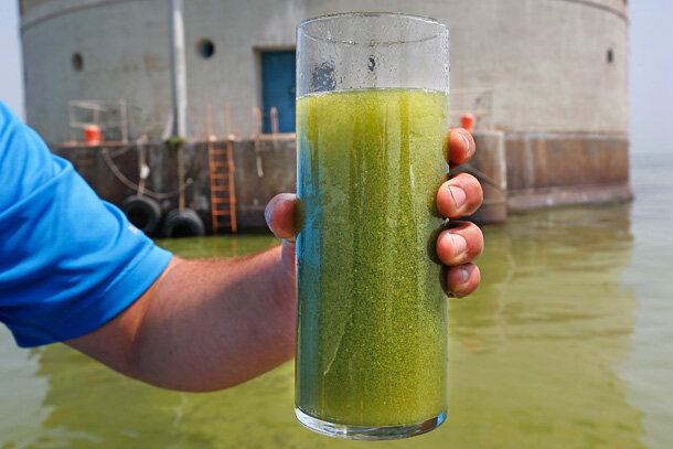 A man holds a glass filled with water from Lake Erie on August 3, 2014. Toledo’s water supply intake sits in the background. Photo copyright Dave Zapotosky.