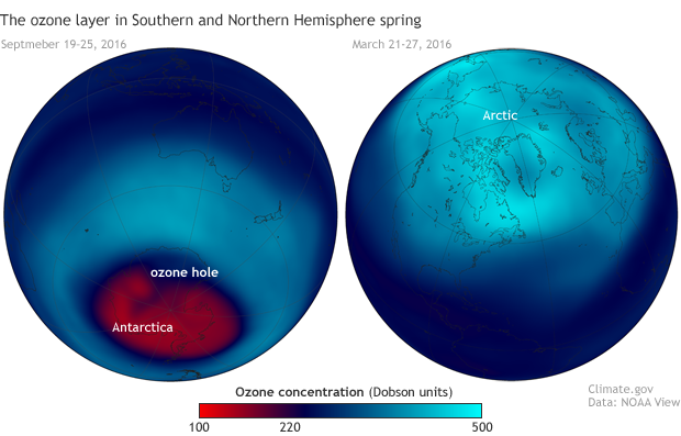 Ozone concentrations in Northern and Southern Hemispheres