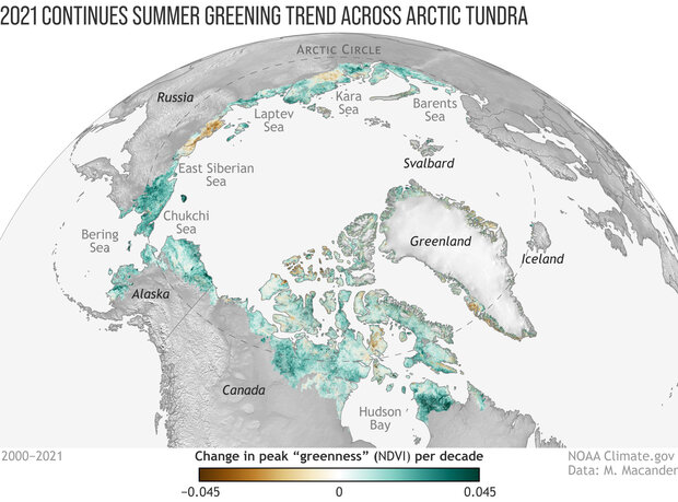 Globe-style map of the Arctic showing changes in tundra greenness from 2000-2021