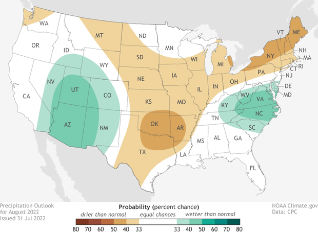 August 2022 precipitation outlook. Browns over Great Plains and Northeast indicate where drier than average conditions are favored. Blue greens over Southwest and Virginia/Carolinas indicate where a wetter than average month is favored.