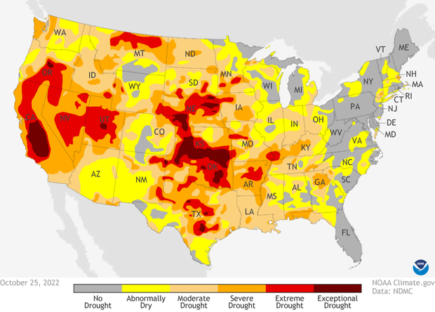 US Drought monitor on October 25, 2022. Yellow, oranges and reds covering much of the country indicates increasing severities of drought. 