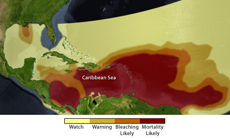 Map of coral bleaching threat in the Caribbean