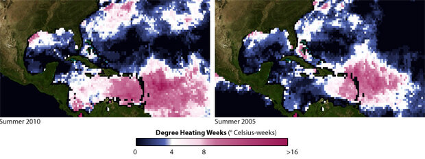 Pair of maps showing heat stress in the Caribbean in 2010 and 2005