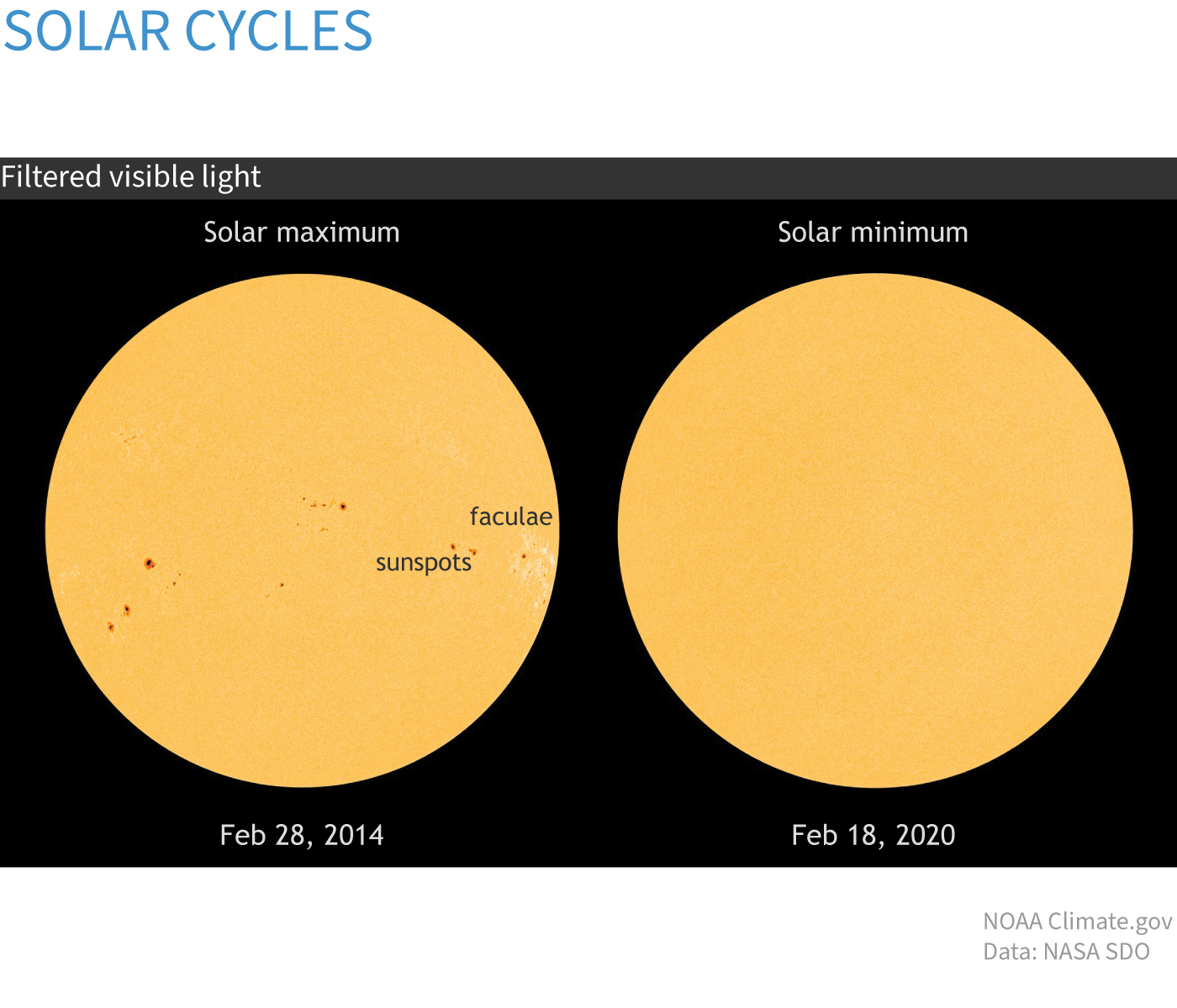 VIsible light images of sunspots on the solar disk