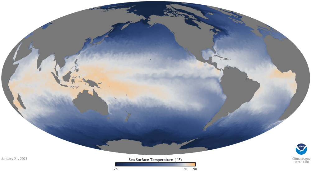 Global map of sea surface temeprature on January 21, 2023