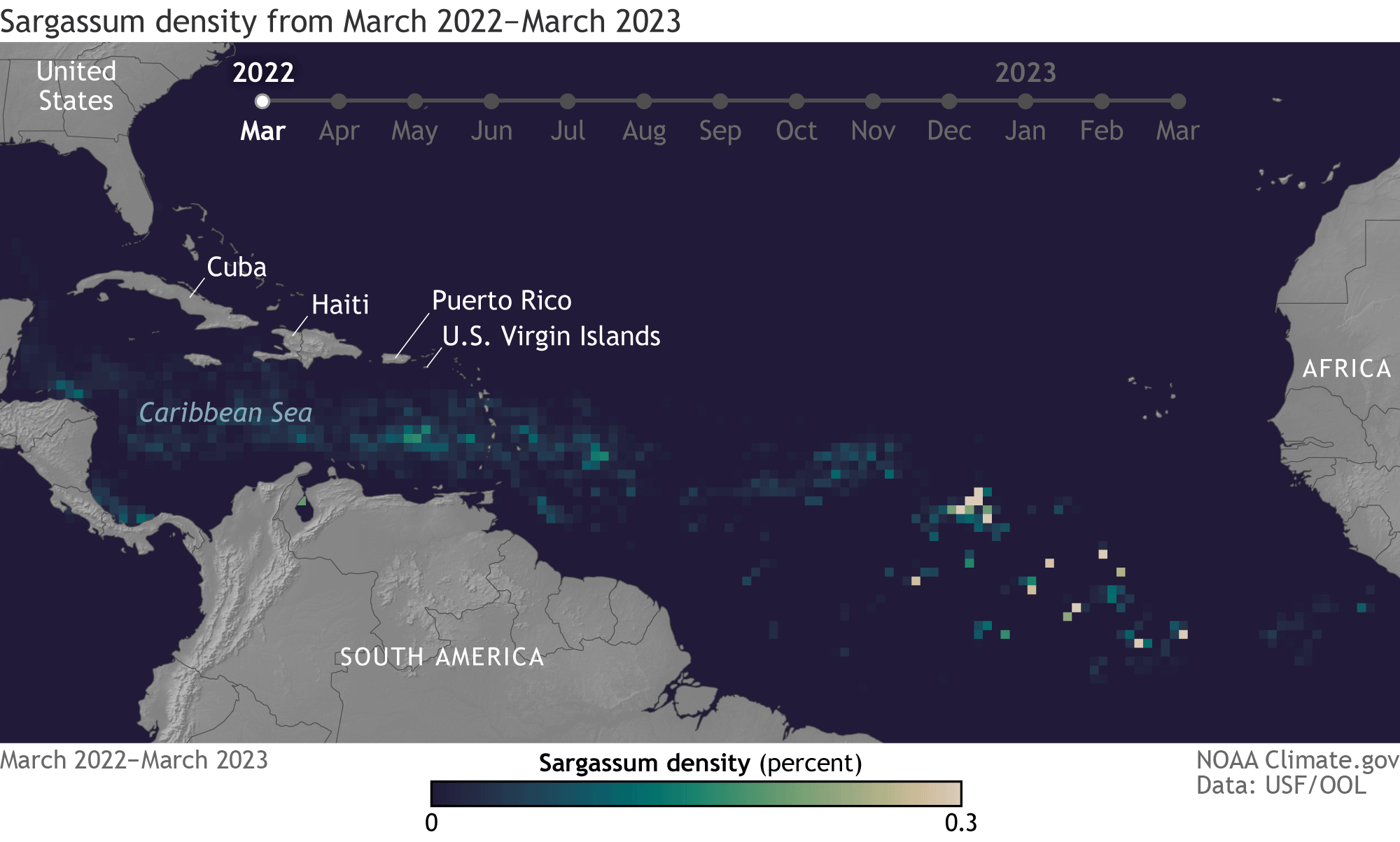 Monthly maps of Sargassum seaweed density from March 2022 to March 2023