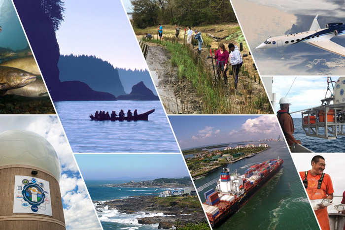 collage of coastal science and resilience topics