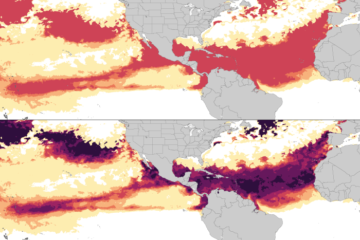 NOAA Coral Reef Watch extends alert scale following extreme coral heat ...