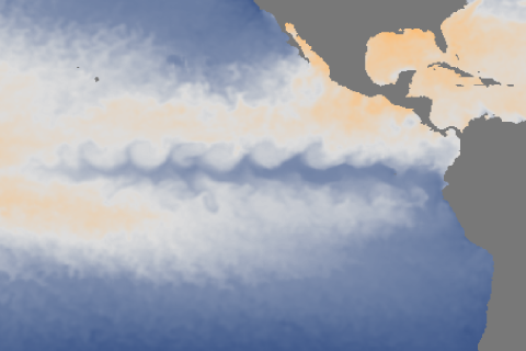 August 2016 ENSO update: Wavy gravy