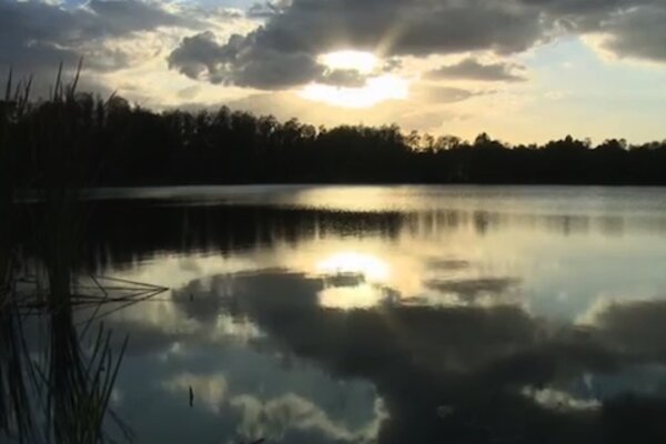 Photo of Tampa Bay waters