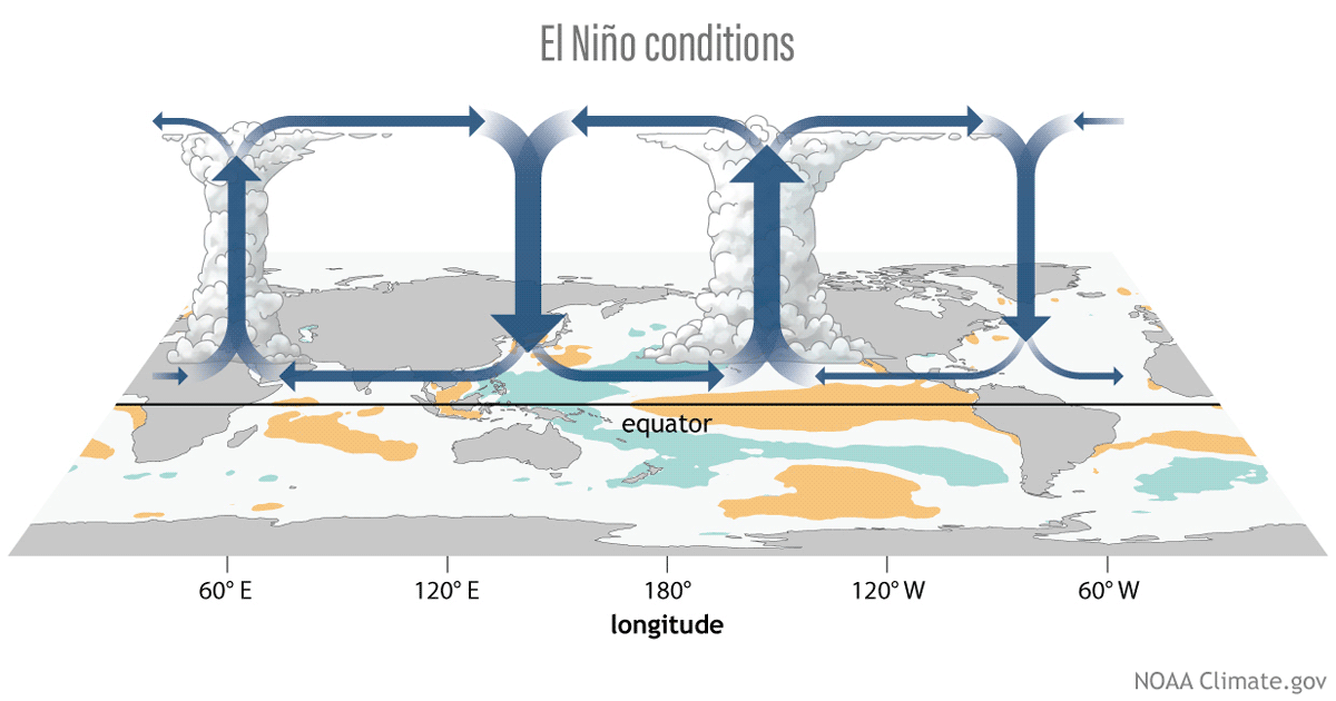 Three-frame animation of Walker circulation under El Nino, La Nina, and neutral conditions