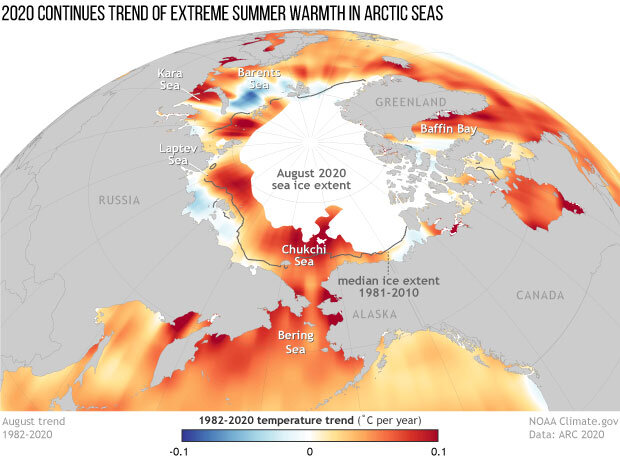 Arctic sea surface temperature trends