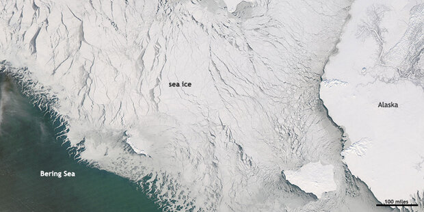 Alaska satellite image