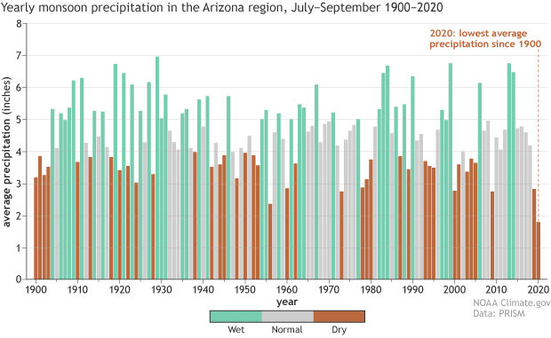 graph of summer precipitation in Arizona since 1900
