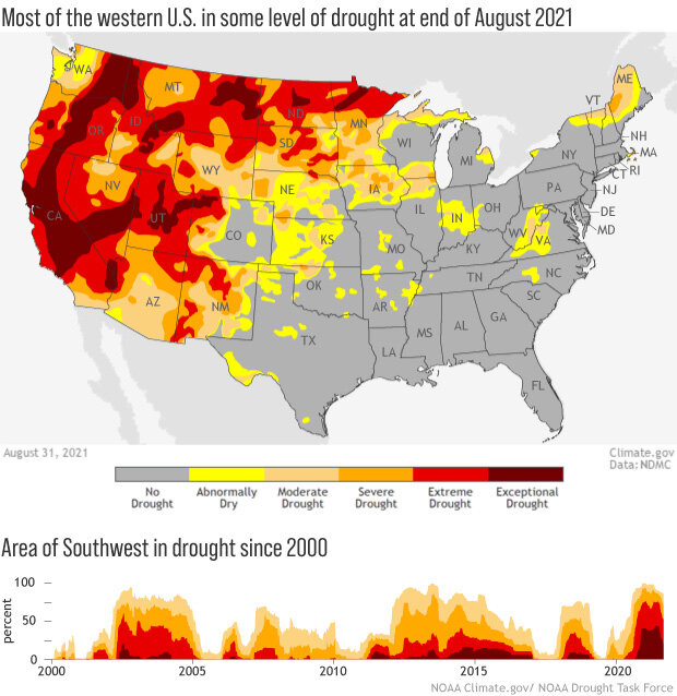 US map of drought conditions on August 31, 2021, plus a graph of percent area in drought since 2010