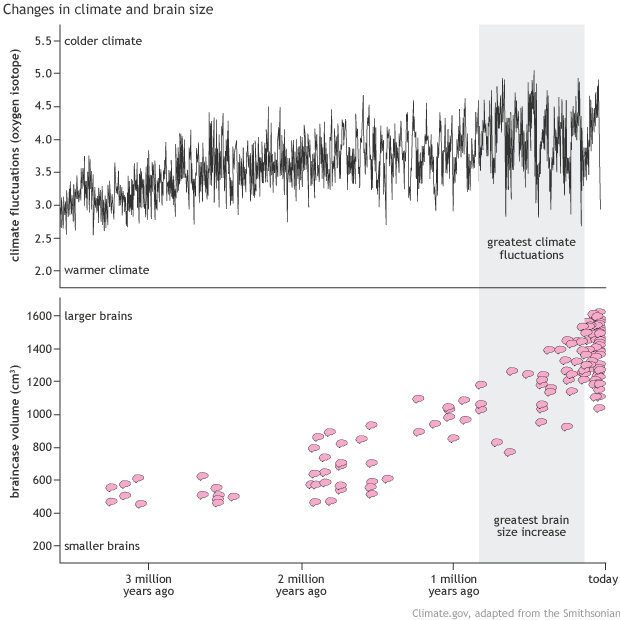 Changes in climate and brain size