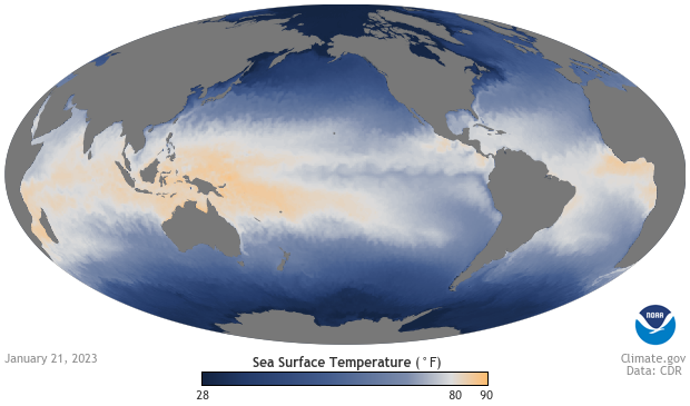 Global map of sea surface temperatures on January 21, 2023