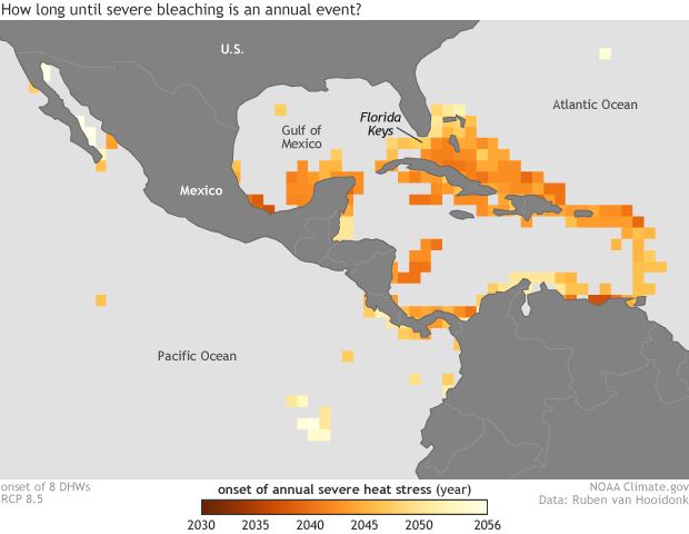 Color-coded heat-stress projection map