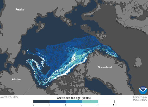 Map of Arctic sea ice age 