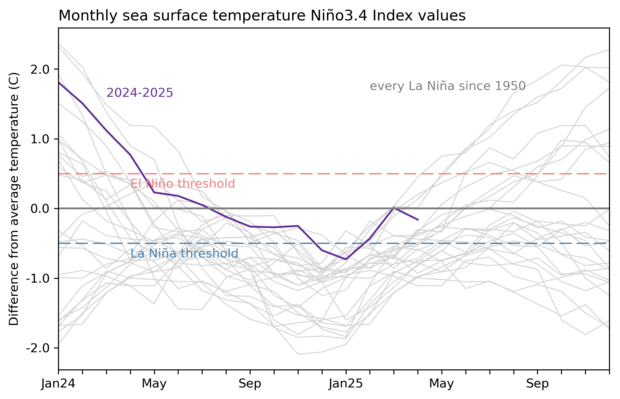 line graph of sea surface temperature in ENSO monitoring region