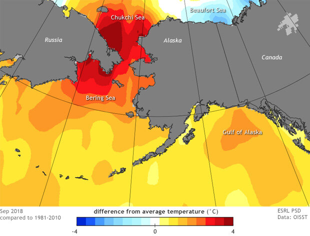Map showing difference from average sea surface temperature for Alaska waters in September 2018