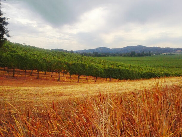 Sonoma County microclimate