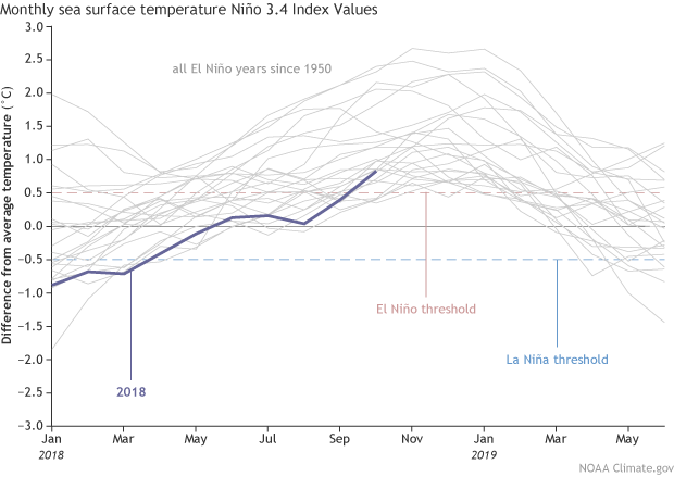 Monthly sea surface temperature graph