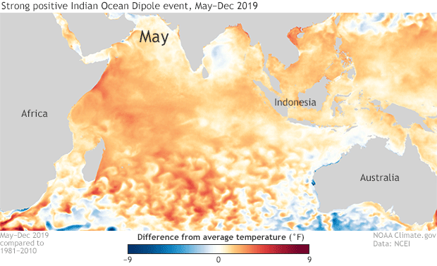 Sea surface temperature anomaly map