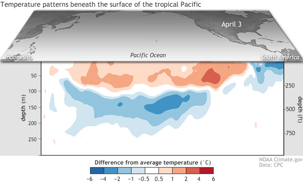 Sea surface temperature anomaly cros-section