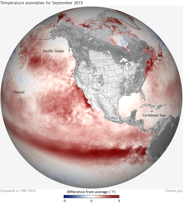 Sea surface temperature anomaly map