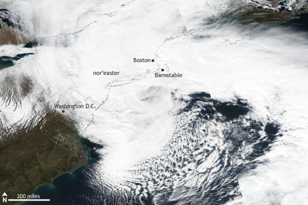 Eastern United States nor'easter