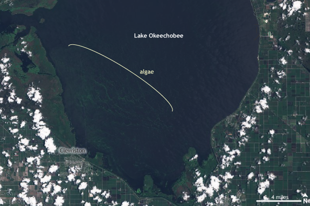 Satellite image of Lake Okeechobee, Florida taken on June 20, 2018
