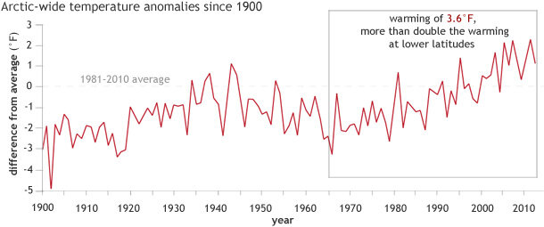 Temperature anomaly time series