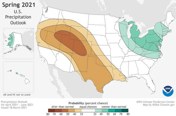 Spring outlook: precipitation