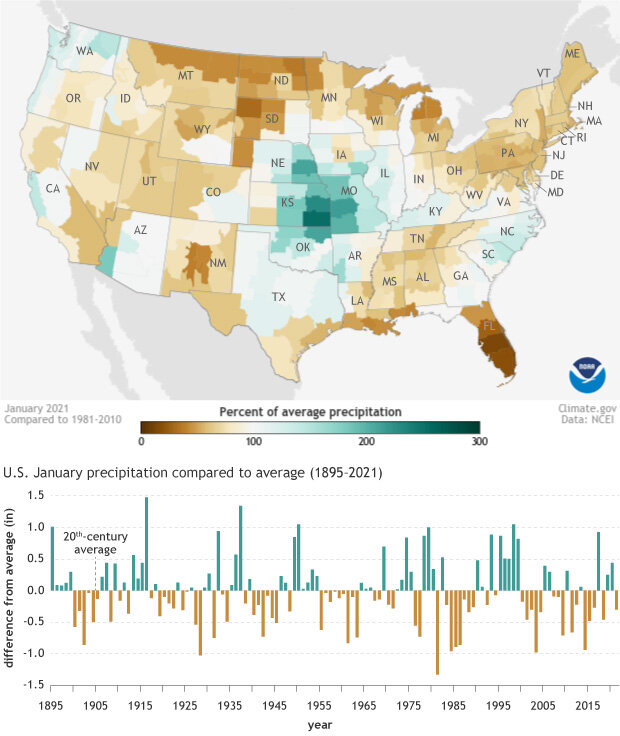 US January 2021 precip anomaly map and graph