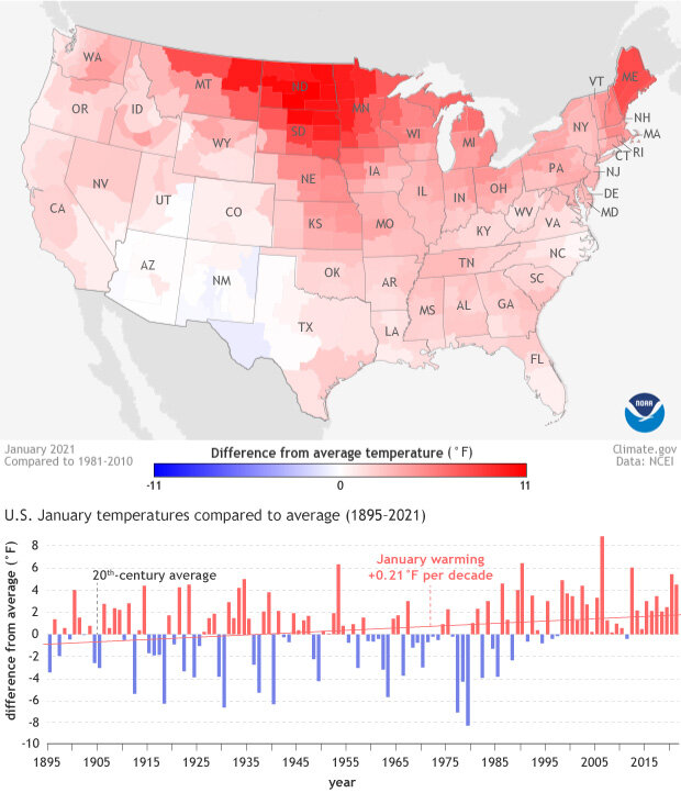 US January 2021 temperature  anom graph