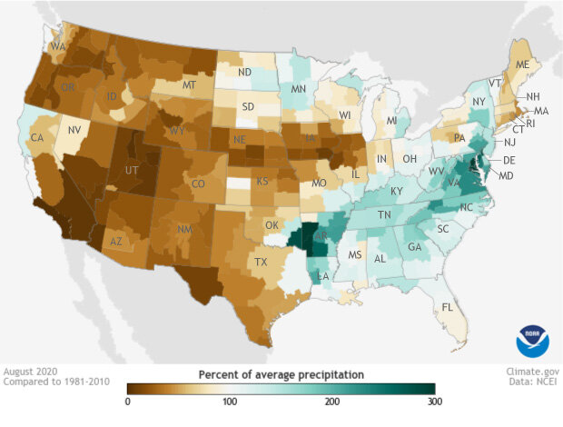 Map of percent of normal precipitation in the contiguous United States in August 2020 compared to the 1981 to 2020 average.