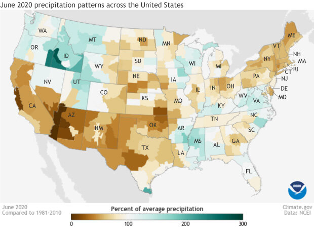 Map of U.S. rainfall by climate division in June 2020 as a percent of the 1981 to 2020 average.