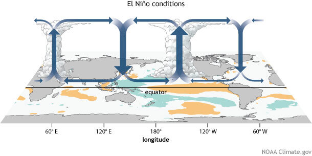 Schematic of the main parts of the Walker Circulation in the tropical Pacific during El Niño