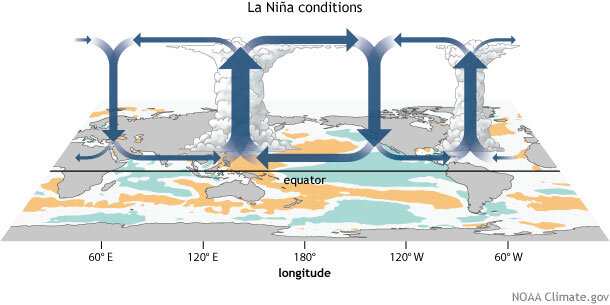 Schematic of walker circulation during La Niña