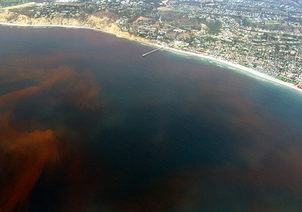 Aerial view of red tide