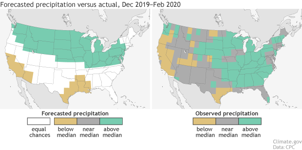 Maps of precipitation forecast and precipitation observation for December-February 2019-20
