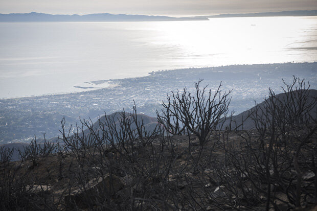 Wildfire aftermath