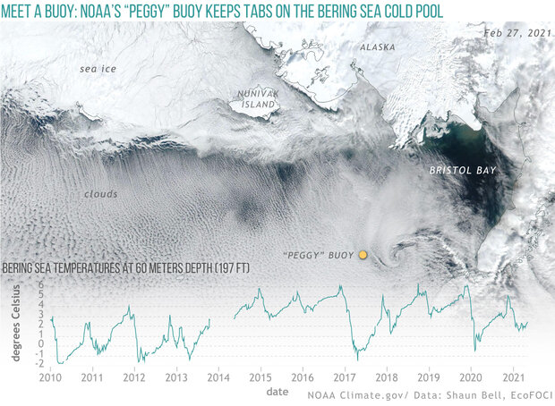 Satellite image of sea ice in Bering Sea with an overlay graph of bottom-water temperatures from moored buoy