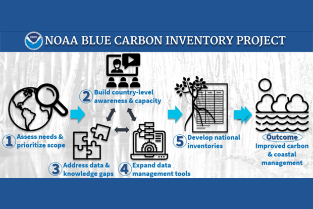 BCI activities diagram