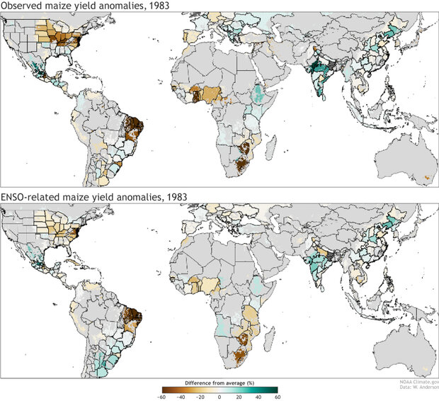 Pair of maps showing maize crop anomalies in 1983 and how much of the anomaly was likely due to El Niño